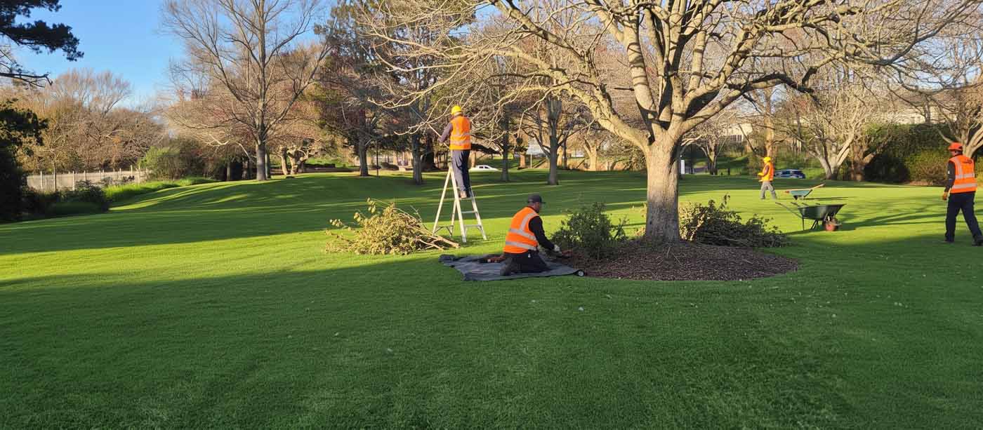 Professional lawn care team maintaining a large green property in Auckland, highlighting the importance of proper grass maintenance.